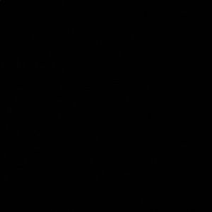 Meet your Posher, Luis